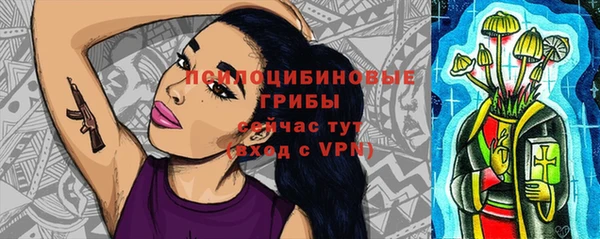mix Богородицк
