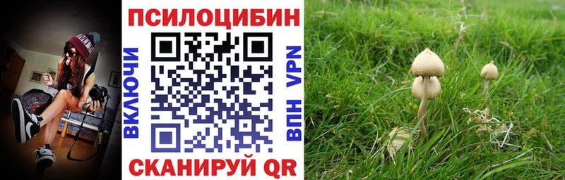 Псилоцибиновые грибы мухоморы  Купить закладки  Мирный 